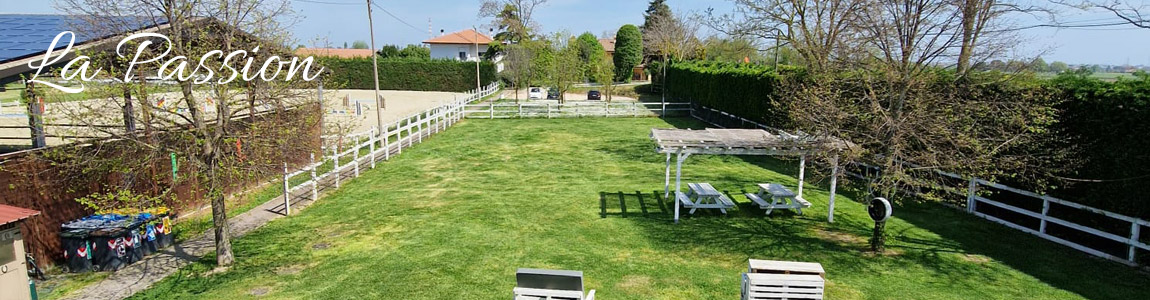 Camera B&B Insolent Inn - Rimini